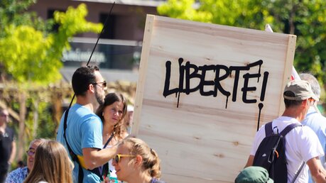 Proteste gegen Corona-Maßnahmen in Straßburg, Frankreich am 4. August 2021 / © Dr Wilson Cardozo (shutterstock)