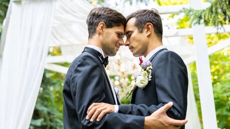 Ein homosexuelles Paar bei der Hochzeit / © oneinchpunch (shutterstock)