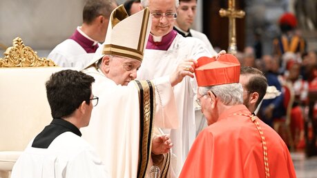 Papst Franziskus kreiert den neuen Kardinal Leonardo Steiner. / © Romano Siciliani (KNA)