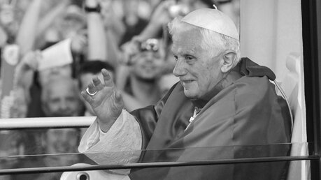 Damaliger Papst Benedikt der XVI. sitzt bei seinem Besuch in Freiburg in seinem Papamobil. / © Uli Deck (dpa)