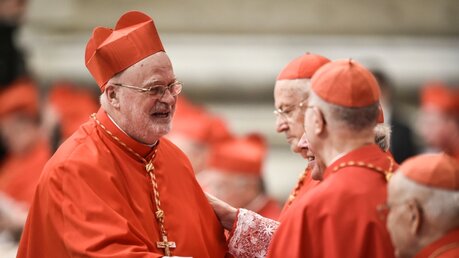 Kardinal Anders Arborelius (l.) / © Cristian Gennari (KNA)