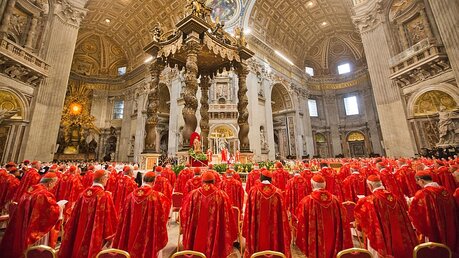 Kardinäle vor dem Konklave 2013 / © Michael Kappeler (dpa)