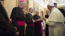 Deutsche Bischöfe beim Papst / © Osservatore Romano (KNA)