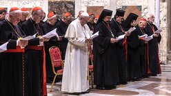 Bußgottesdienst mit Papst Franziskus, Bischöfen, Kardinälen und Ordensleuten / © Stefano Dal Pozzolo (KNA)