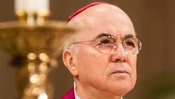 Erzbischof Carlo Maria Vigano fordert Rücktritt von Papst Franziskus in der Debatte um US-Erzbischof McCarrick / © Nancy Phelan Wiechec (KNA)
