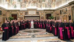 Papst Franziskus empfängt Bischöfe der Deutschen Bischofskonferenz / © Vatican Media/Romano Siciliani (KNA)