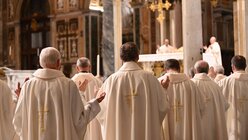 Deutsche Bischöfe feiern Messe in Rom / © Johannes Neudecker (dpa)