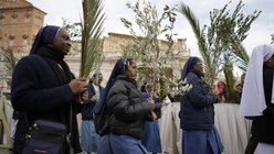 Palmsonntag im Vatikan (dpa)