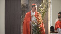 Kardinal Woelki mit einem Palmwedel / © Beatrice Tomasetti (DR)