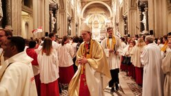 Kardinal Woelki bei der Ministrantenwallfahrt in Rom 2018 / © Luis Rüsing  (DR)