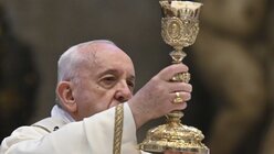 Papst Franziskus hält den Kelch die Höhe / © Andreas Solaro (dpa)