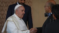 Papst Franziskus im Irak (dpa)